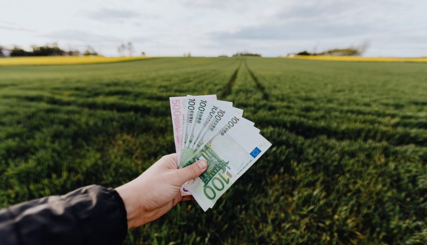 crop farmer showing money in green summer field in countryside